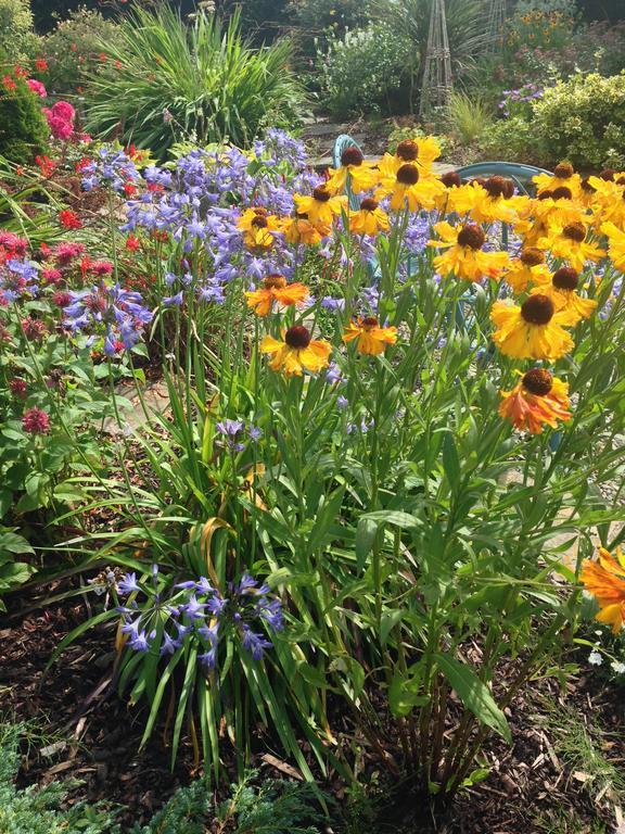 Apartments At Ballinsheen House & Gardens 리스둔바르나 외부 사진